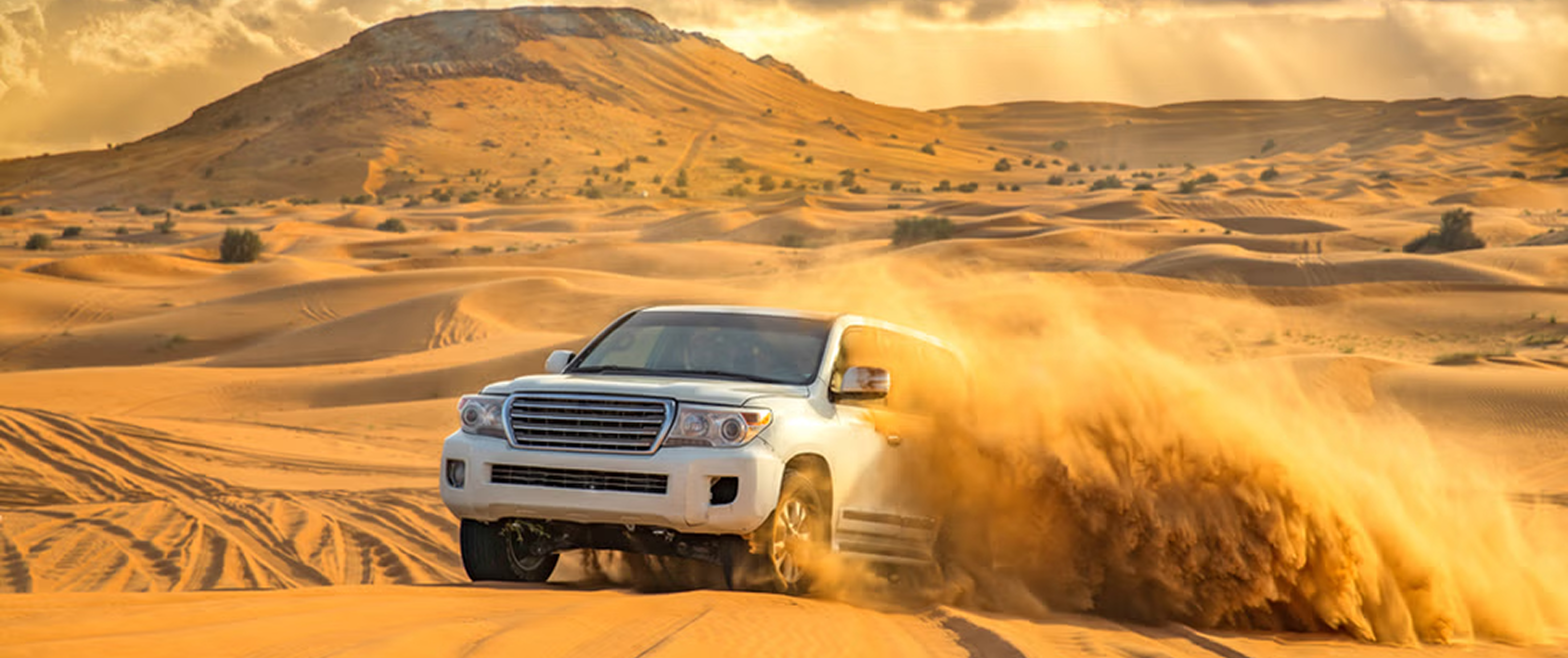 Desert Safari