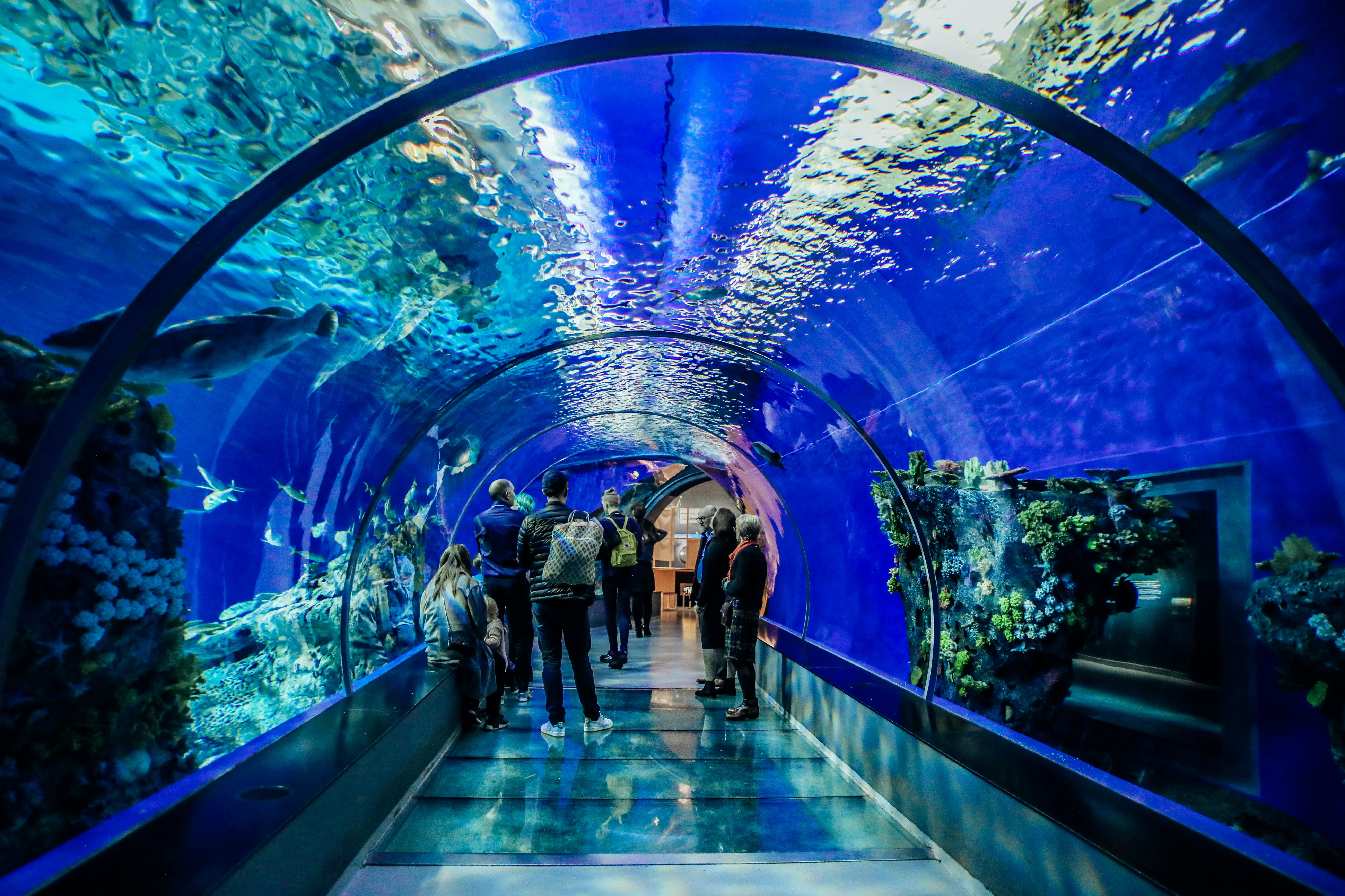 Dubai Aquarium and Underwater Zoo
