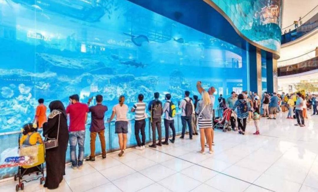 Dubai Aquarium & underwater Zoo